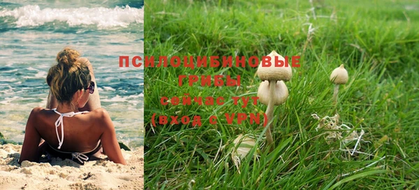 тгк Коряжма