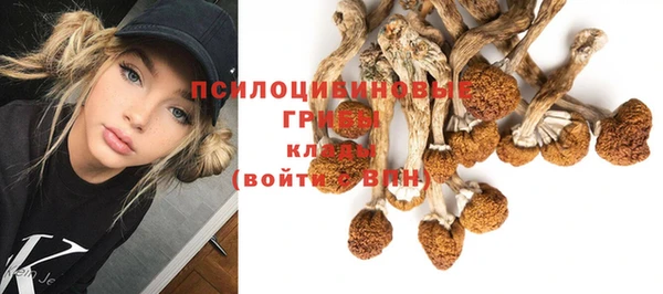 наркотики Корсаков