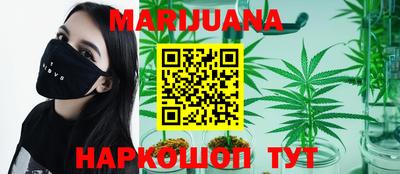 шишки Бийск