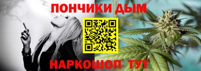 шишки Бийск