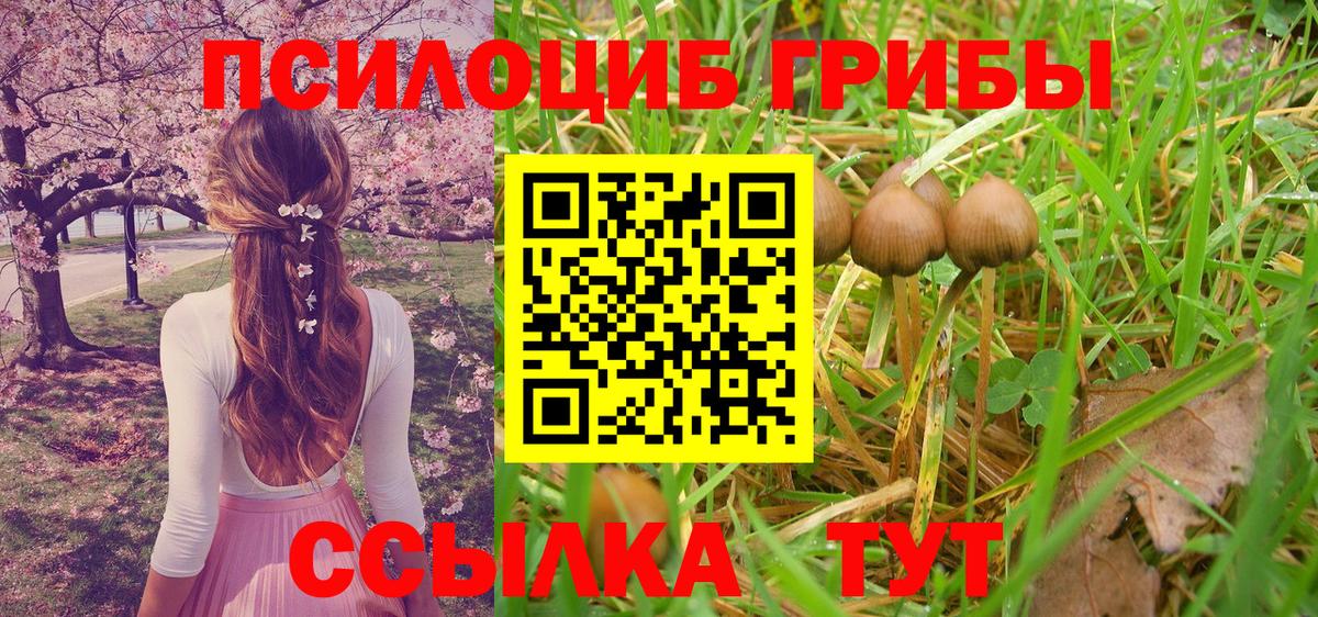 Галлюциногенные грибы мицелий Армавир
